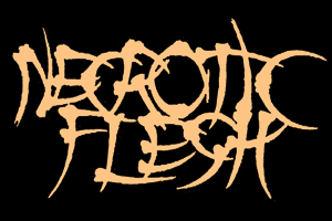 Necrotic Flesh Interview