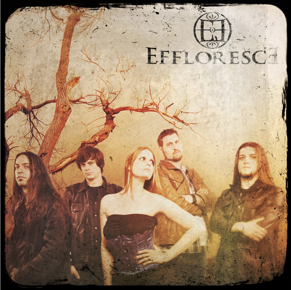 Treasure Hunt: Effloresce