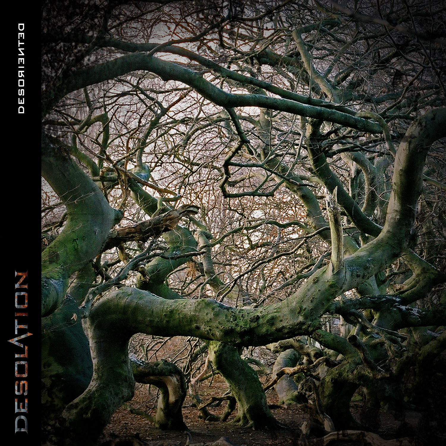 Desolation „Desoriented“ 3/6