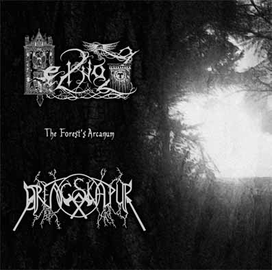 Drengskapur / Heilnoz – The Forest’s Arcanum 4/6